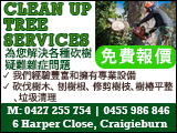 cleanUpTreeServices