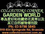 collectorsCornerGardenWorld
